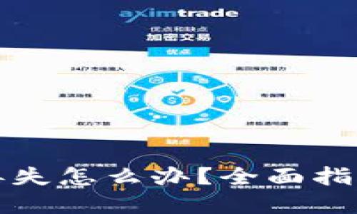 狗狗币钱包丢失怎么办？全面指南与解决方案