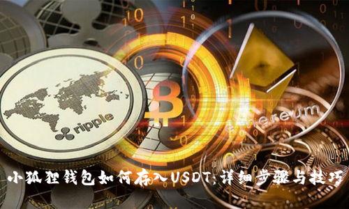 小狐狸钱包如何存入USDT：详细步骤与技巧