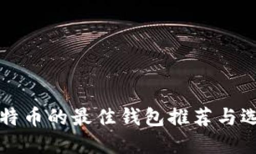 支持比特币的最佳钱包推荐与选择指南