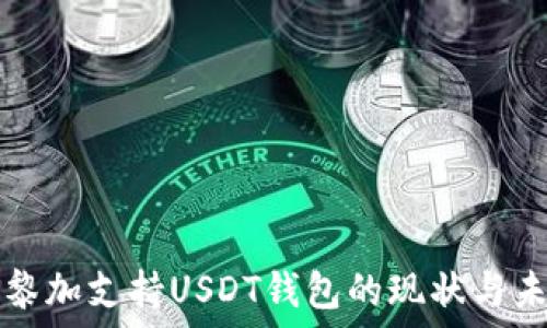   
哥斯达黎加支持USDT钱包的现状与未来展望