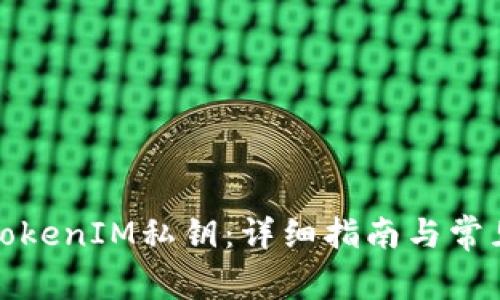 如何查看TokenIM私钥：详细指南与常见问题解答
